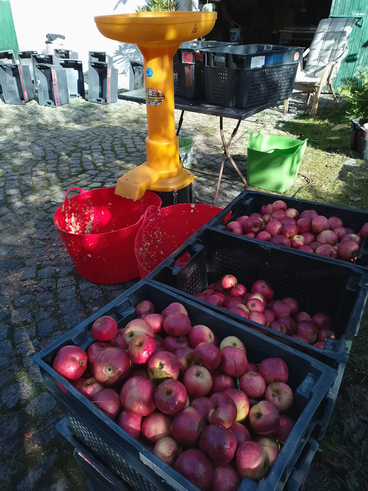 APFELMUS KOCHEN IM KILA