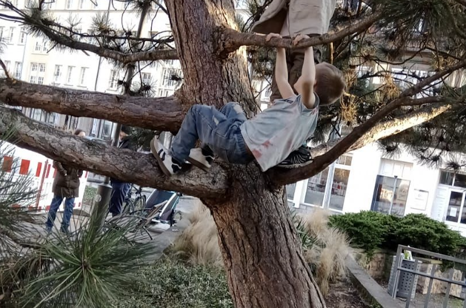 Damit unsere Kinder weiterhin klettern können